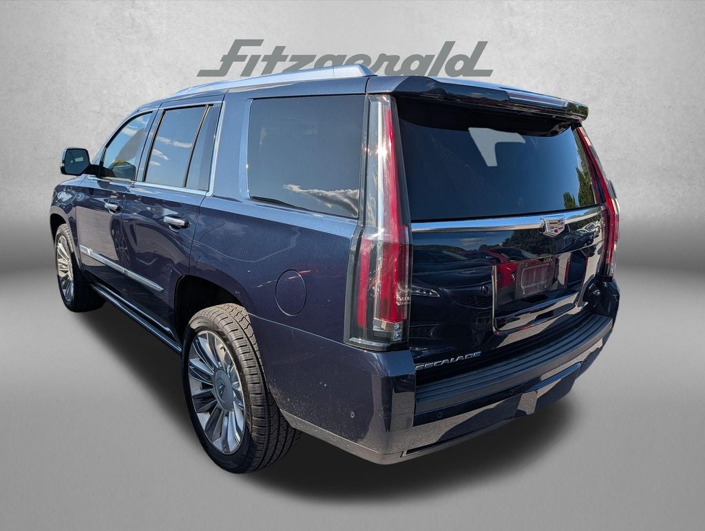 2019 Cadillac Escalade Platinum Edition