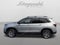 2025 Honda Passport AWD TrailSport